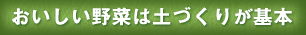 おいしい野菜は土づくりが基本