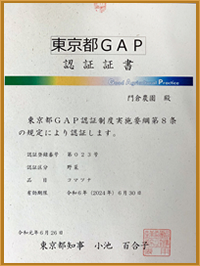 TOKYOGAP認証書